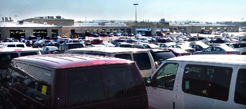 Manheim Auto Auction